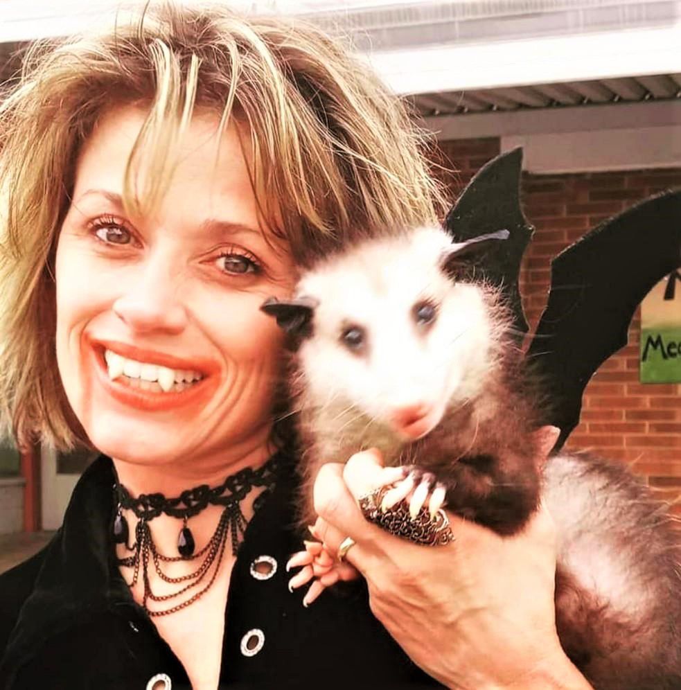 Podrick the Possum, local Instagram star